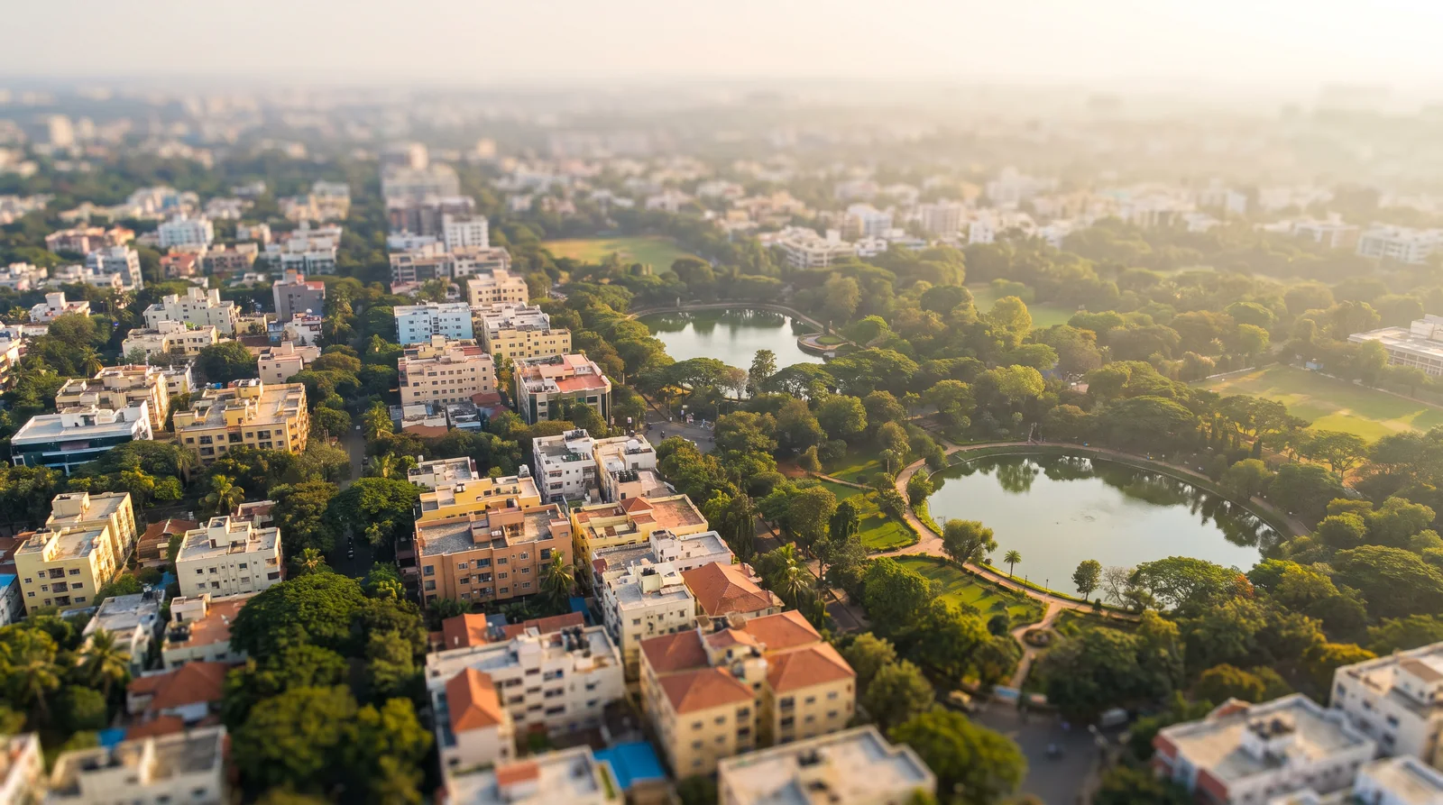 An aerial of a whole neighbourhood, the living network at city scale, an AI illustration